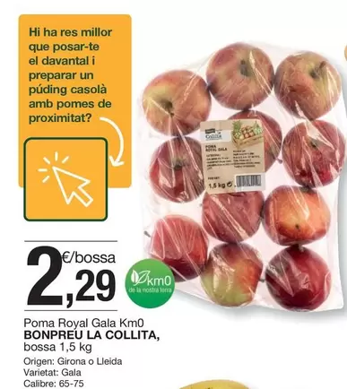 Oferta de Terra - Poma Royal Gala por 2,29€ en BonpreuEsclat