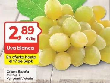 Oferta de España - Uva Blanca por 2,89€ en Suma Supermercados