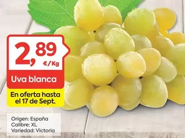 Oferta de España - Uva Blanca por 2,89€ en Suma Supermercados