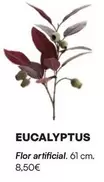 Oferta de Eucalyptus Flor Artificial por 8,5€ en La Oca