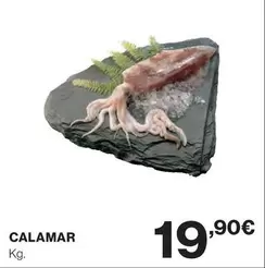 Oferta de Calamar por 19,9€ en El Corte Inglés