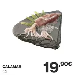 Oferta de Calamar por 19,9€ en Supercor