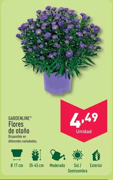 Oferta de Gardenline - Flores De Otoño por 4,49€ en ALDI