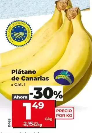 Oferta de Platano De Canarias por 1,49€ en Dia