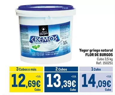 Oferta de Flor de Burgos - Yogur Griego Natural por 14,09€ en Makro