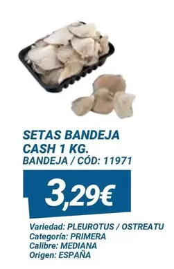 Oferta de Origen - Setas Bandeja por 3,29€ en Dialsur Cash & Carry