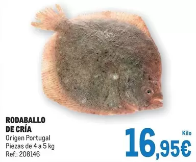 Oferta de Origen - Rodaballo De Cria por 16,95€ en Makro