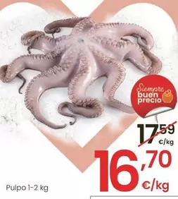 Oferta de Pulpo por 16,7€ en Eroski