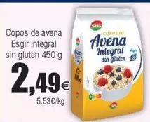 Oferta de ESGIR - Copos De Avena Integral Sin Gluten por 2,49€ en Froiz