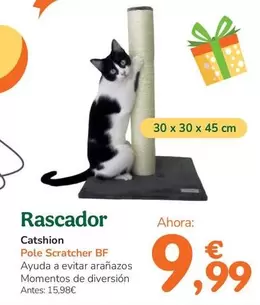 Oferta de Catshion - Rascador por 9,99€ en Tiendanimal