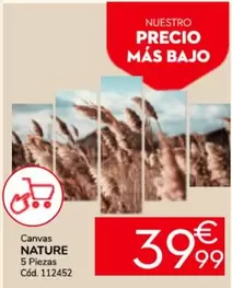 Oferta de Nature por 39,99€ en Conforama