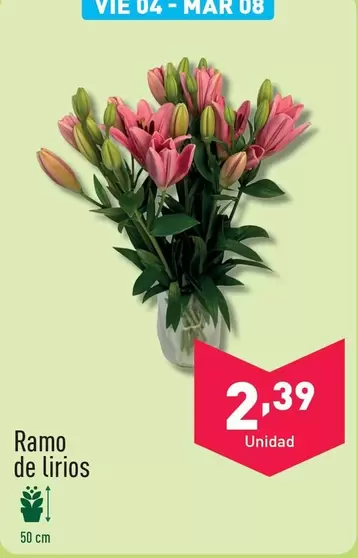 Oferta de Ramo De Lirios por 2,39€ en ALDI