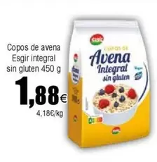 Oferta de ESGIR - Copos De Avena Integral Sin Gluten por 1,88€ en Froiz