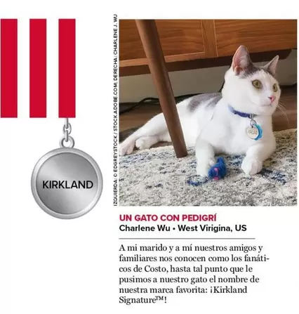 Oferta de Kirkland - Un Gato Con Pedigrì en Costco