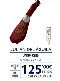 Oferta de Julian Del Águila - Jamón Cebo por 125€ en Makro