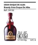 Oferta de Gran Duque De Alba - Brandy en Gros Mercat