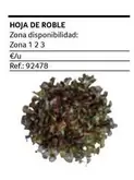 Oferta de Hoja De Roble en Gros Mercat