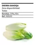 Oferta de Endibia Bandeja en Gros Mercat