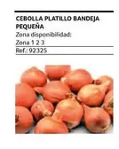 Oferta de Cebolla Platillo Bandeja Pequeña en Gros Mercat