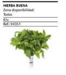 Oferta de Hierba Buena en Gros Mercat