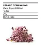 Oferta de Rabano Germinado P en Gros Mercat