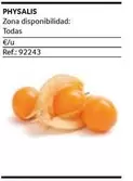 Oferta de Physalis en Gros Mercat