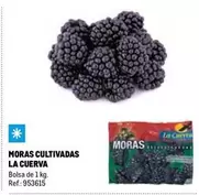 Oferta de La Cuerva - Moras Cultivadas en Makro