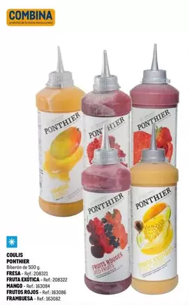 Oferta de Ponthier - Coulis Ponthier en Makro