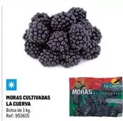 Oferta de La Cuerva - Moras Cultivadas en Makro