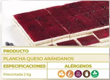 Oferta de Plancha Queso Arándanos en CashDiplo