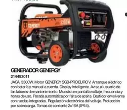 Oferta de Generador Genergy por 480,58€ en Coinfer