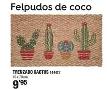 Oferta de Trenzado Cactus por 9,95€ en Ferrcash