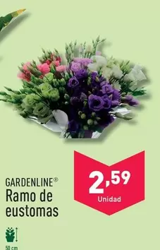 Oferta de Gardenline - Ramo De Eustomas por 2,59€ en ALDI