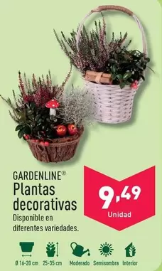 Oferta de Gardenline - Plantas Decorativas por 9,49€ en ALDI