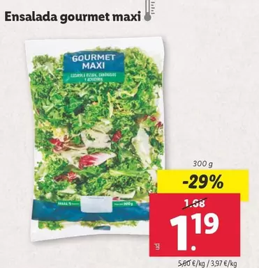 Oferta de Purina - Ensalada Gourmet Maxi por 1,19€ en Lidl