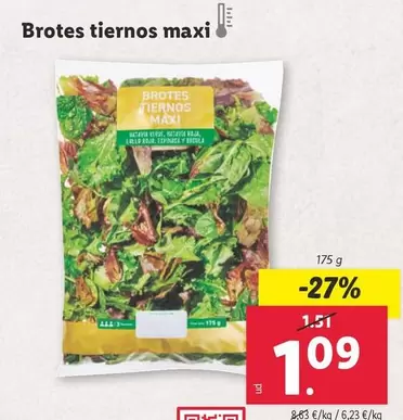 Oferta de Brotes - Brotes Tiernos Maxi por 1,09€ en Lidl