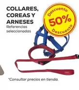 Oferta de Collares, Coreas Y Arneses en Kiwoko