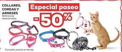 Oferta de Collares, Coreas Y Arneses en Kiwoko