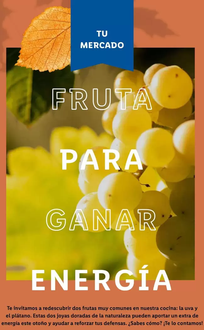 Oferta de Fruta Generico en Lidl