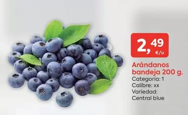 Oferta de Blue - Arándanos Bandeja por 2,49€ en Suma Supermercados