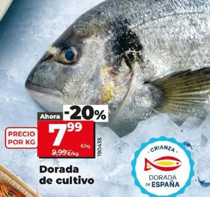 Oferta de Dorada De Cultivo por 7,99€ en Dia