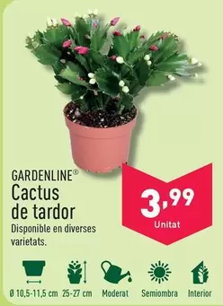 Oferta de Gardenline - Cactus De Tardor por 3,99€ en ALDI