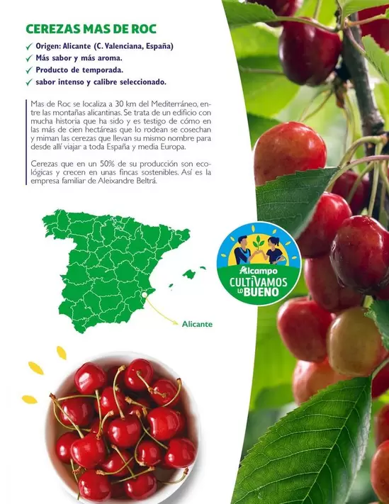 Oferta de Roc - Cerezas Mas De en Alcampo