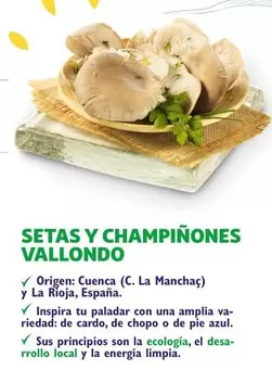 Oferta de Setas Y Champinones Vallondo en Alcampo