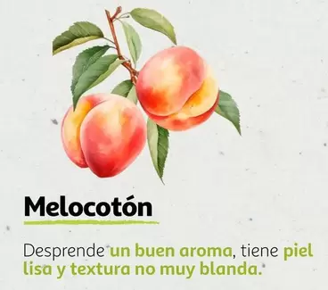 Oferta de Melocoton en Alcampo