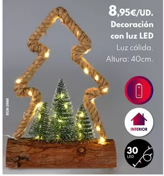 Oferta de Decoracion Con Luz Led por 8,95€ en BricoCentro