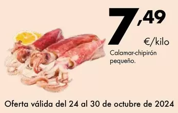 Oferta de Calamar-chipirón Pequeño por 7,49€ en Supermercados Lupa