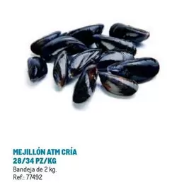 Oferta de Mejillon Atm Cría 28/34 Pz/kg en Makro