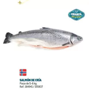 Oferta de Salmón De Cría en Makro