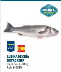 Oferta de Chef - Metro  - Lubina De Cria en Makro